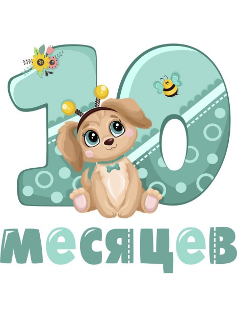 Боди «10 месяцев» зверушки фото 3