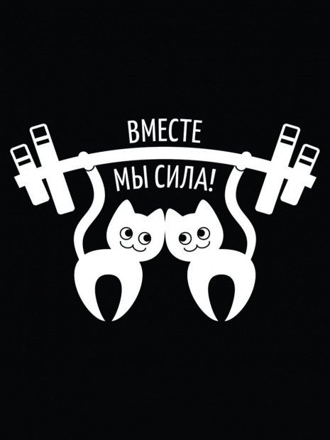 Боди «Коты силачи» фото 3